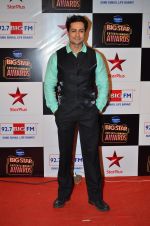 at Big Star Entertainment Awards Red Carpet in Mumbai on 18th Dec 2014